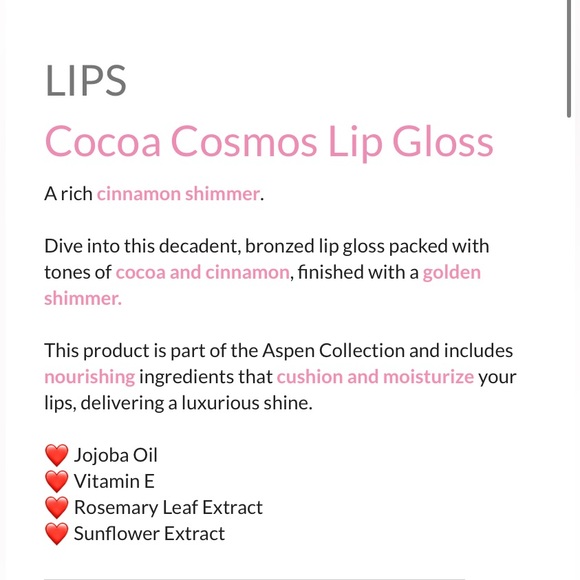 Red Aspen Makeup Red Aspen Lip Gloss Cocoa Cosmos Poshmark
